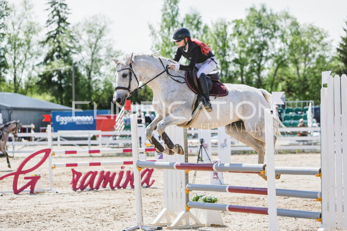 Gramina_Kevad_2026_100_176