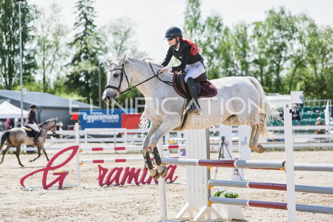 Gramina_Kevad_2026_100_178