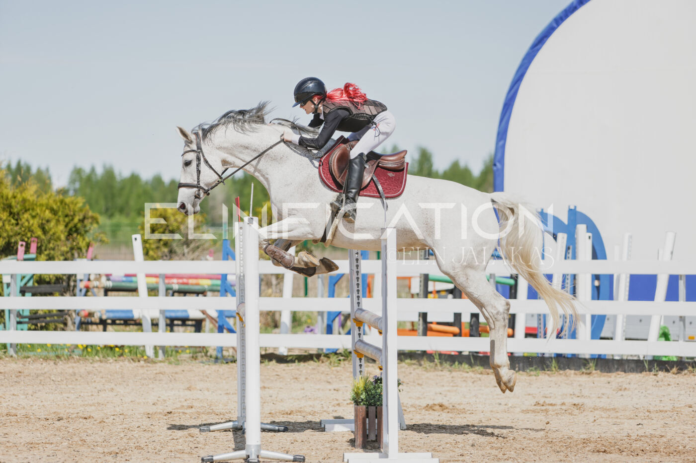 Gramina_Kevad_2026_100_181