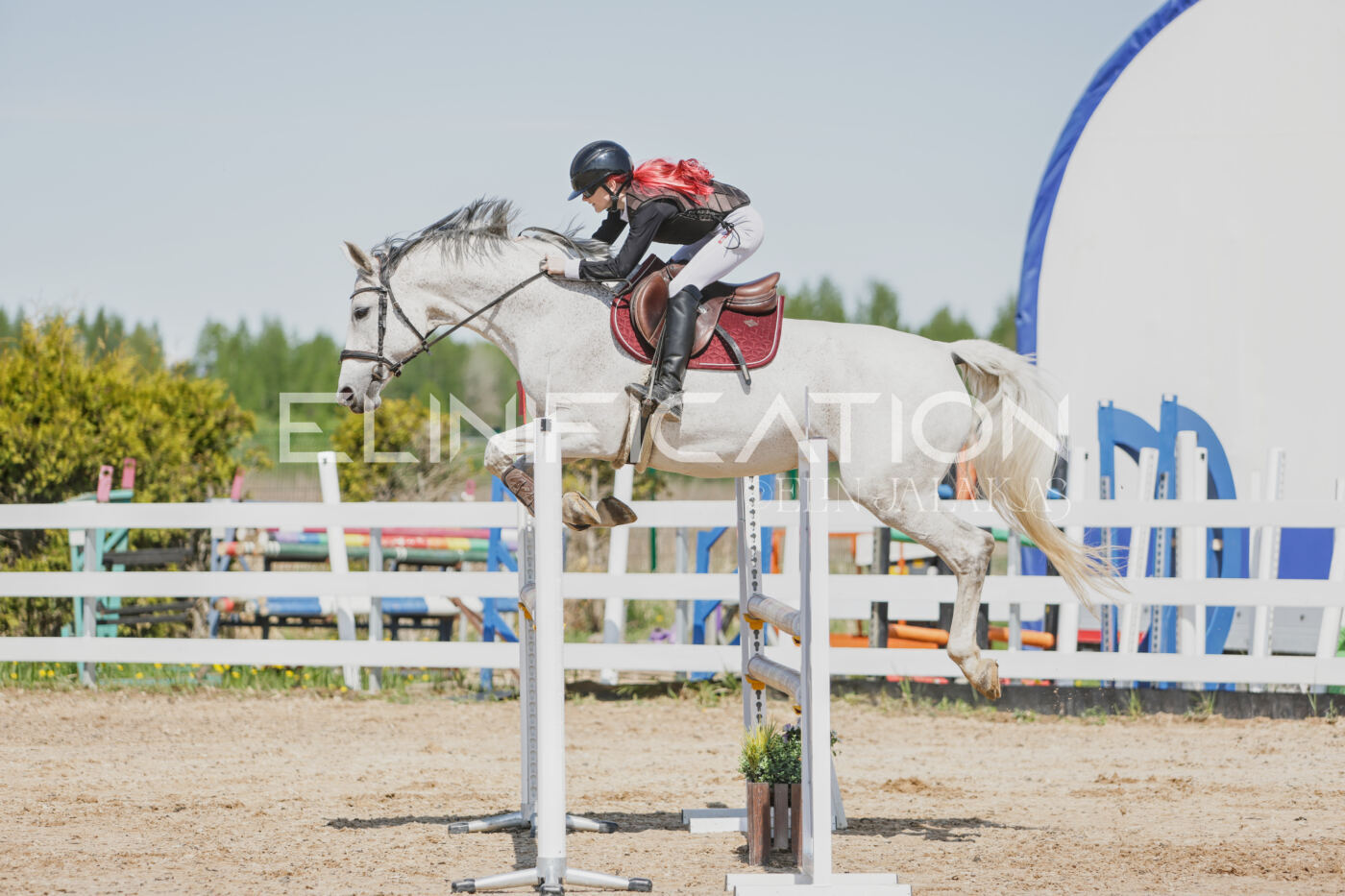 Gramina_Kevad_2026_100_182