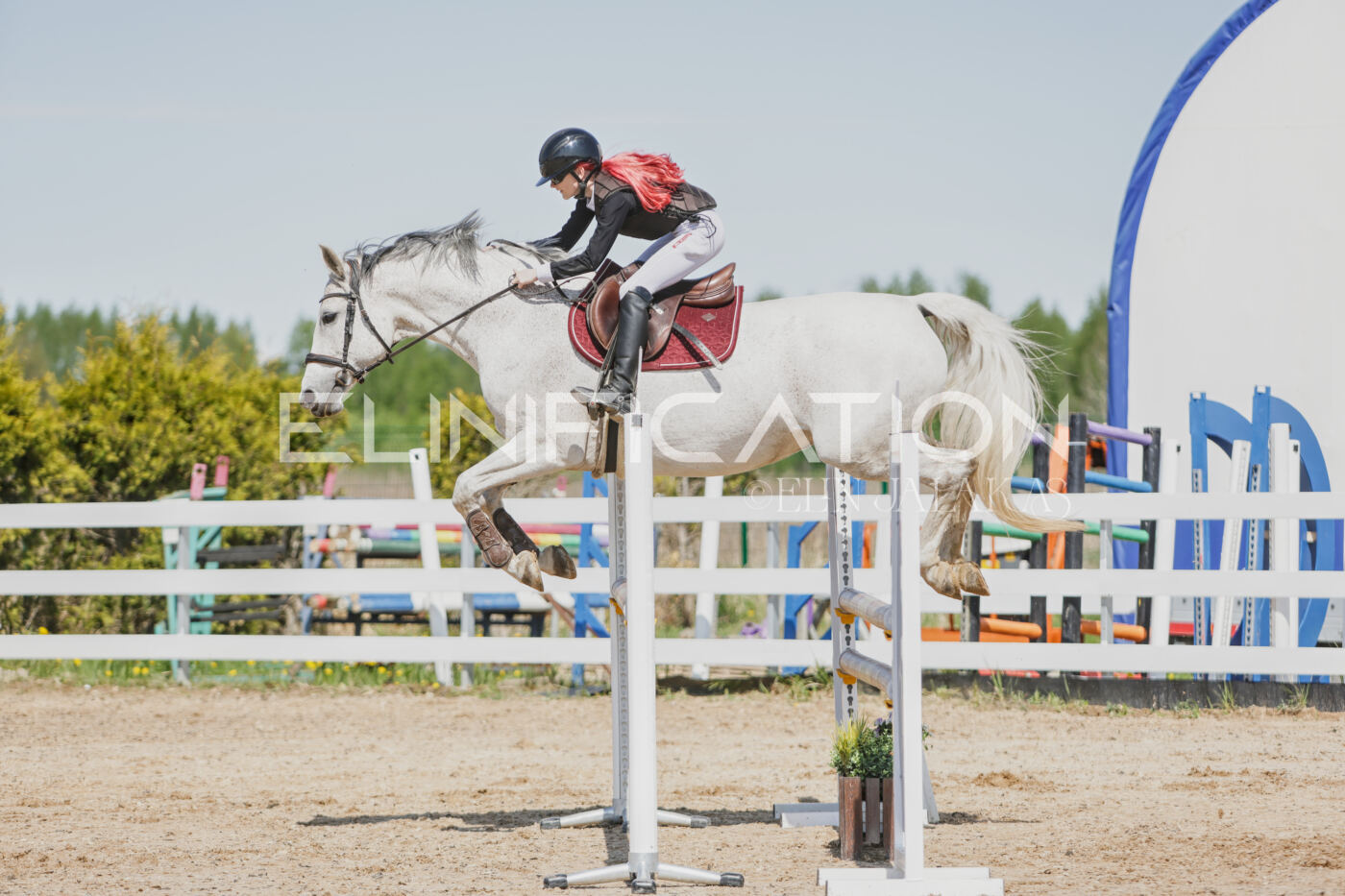 Gramina_Kevad_2026_100_184