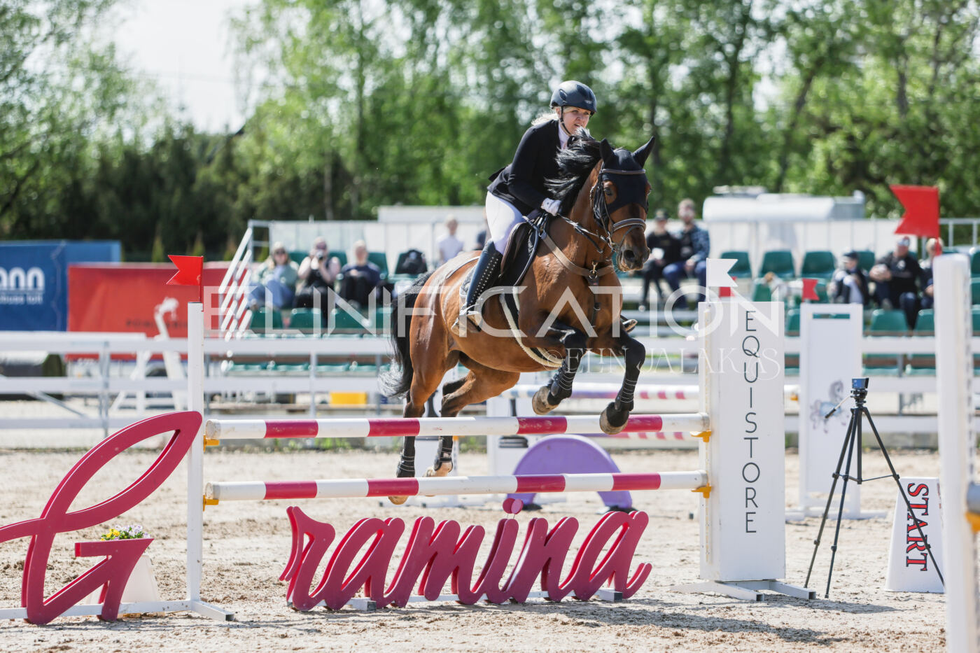 Gramina_Kevad_2026_100_186