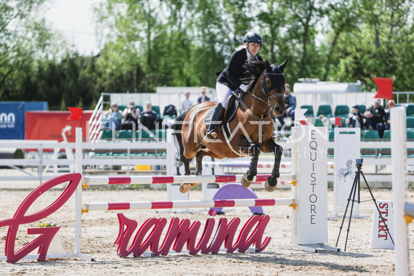 Gramina_Kevad_2026_100_187