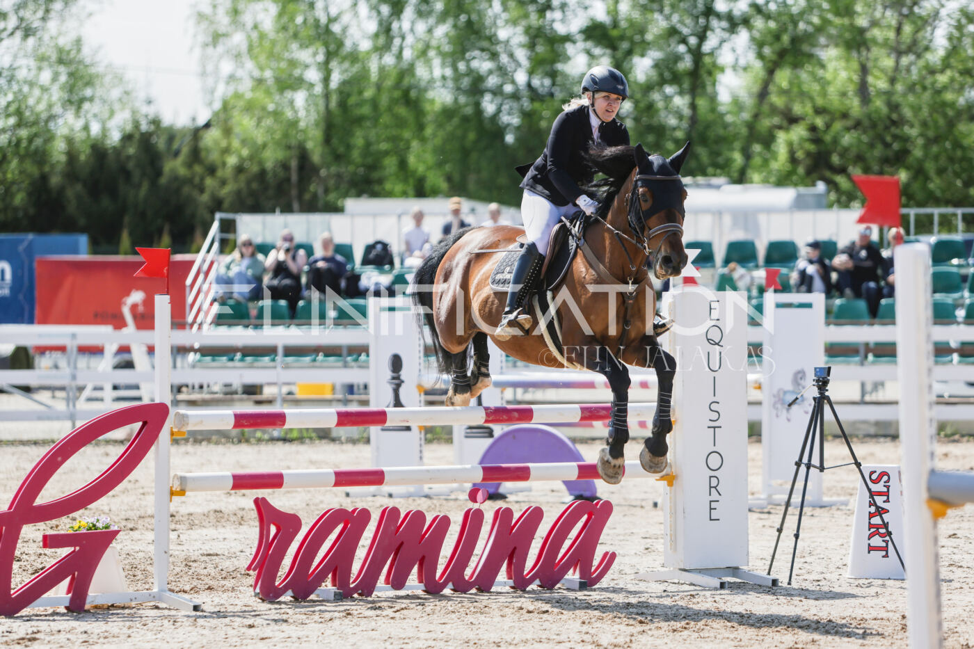 Gramina_Kevad_2026_100_188