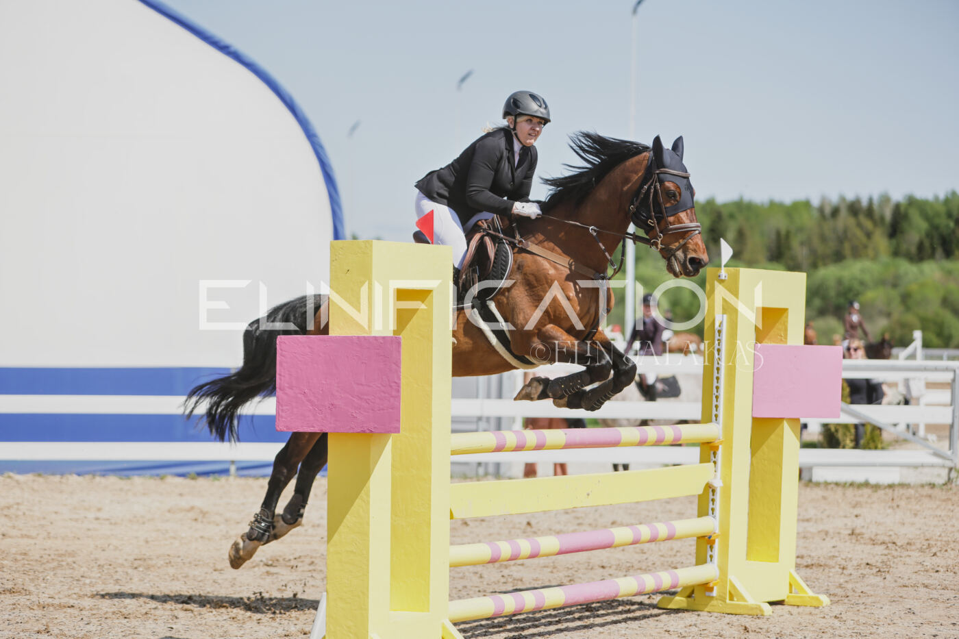 Gramina_Kevad_2026_100_189