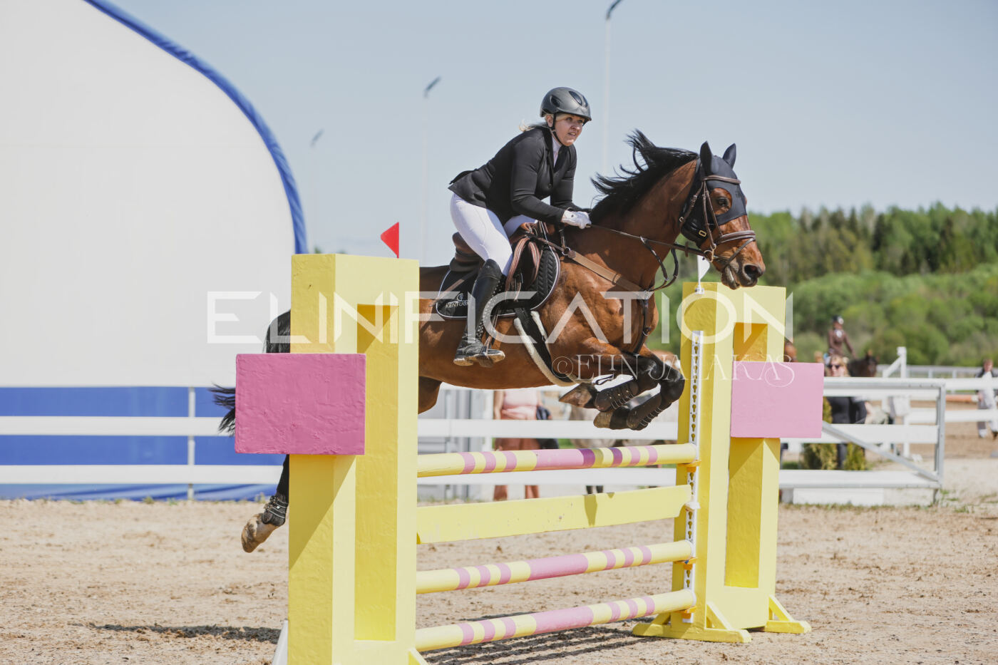 Gramina_Kevad_2026_100_190
