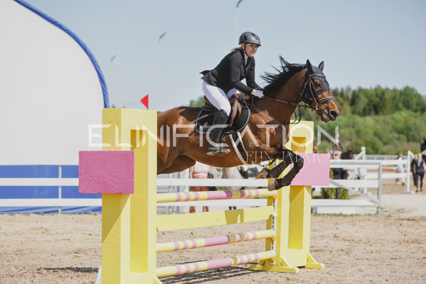 Gramina_Kevad_2026_100_191