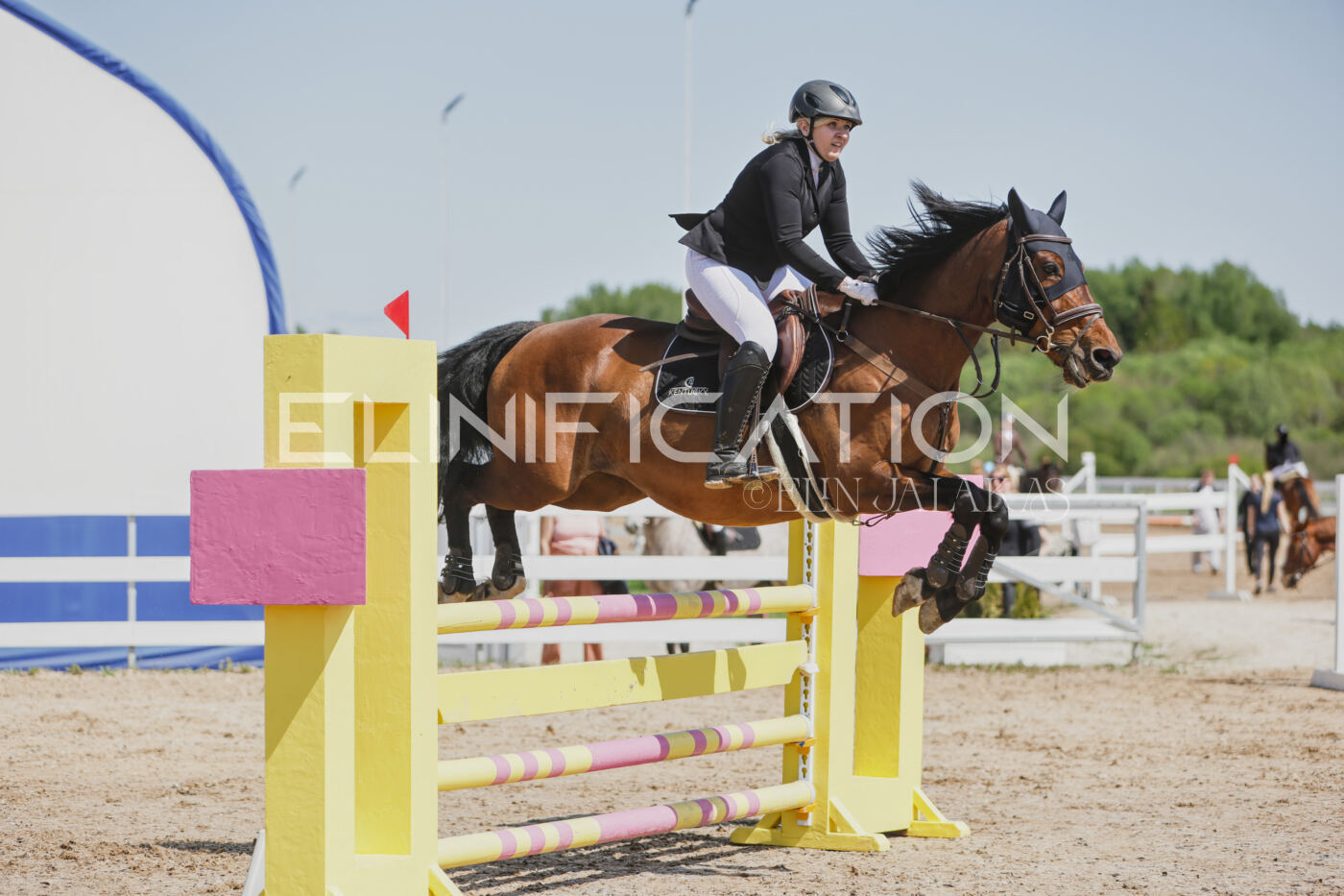 Gramina_Kevad_2026_100_192