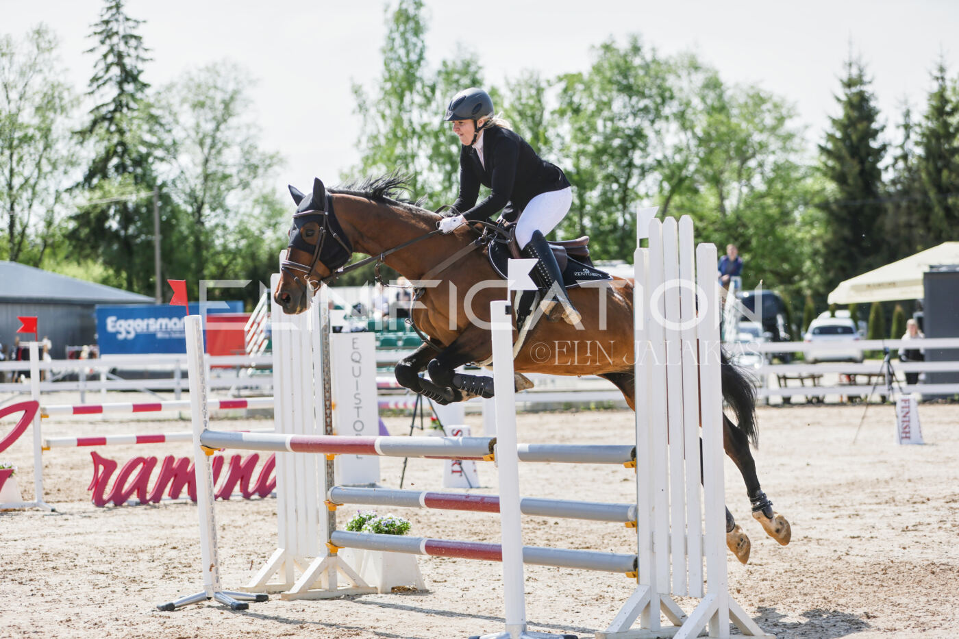 Gramina_Kevad_2026_100_194