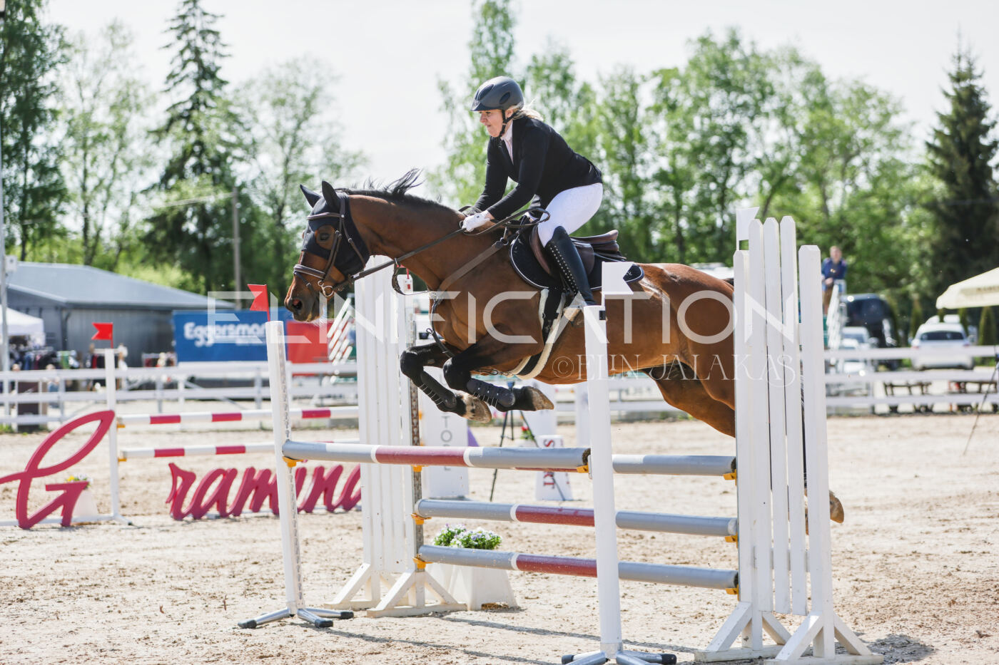Gramina_Kevad_2026_100_195