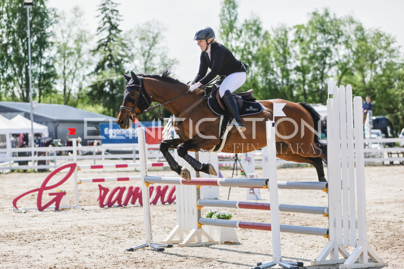 Gramina_Kevad_2026_100_196