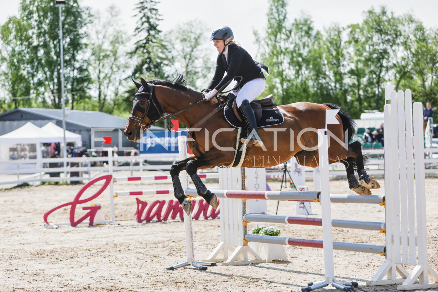 Gramina_Kevad_2026_100_197