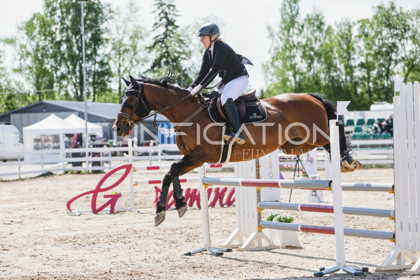 Gramina_Kevad_2026_100_198