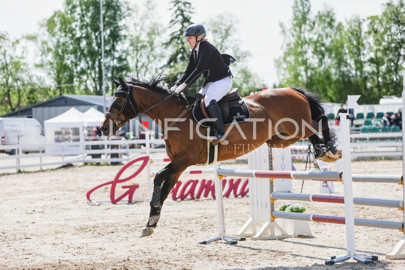 Gramina_Kevad_2026_100_199