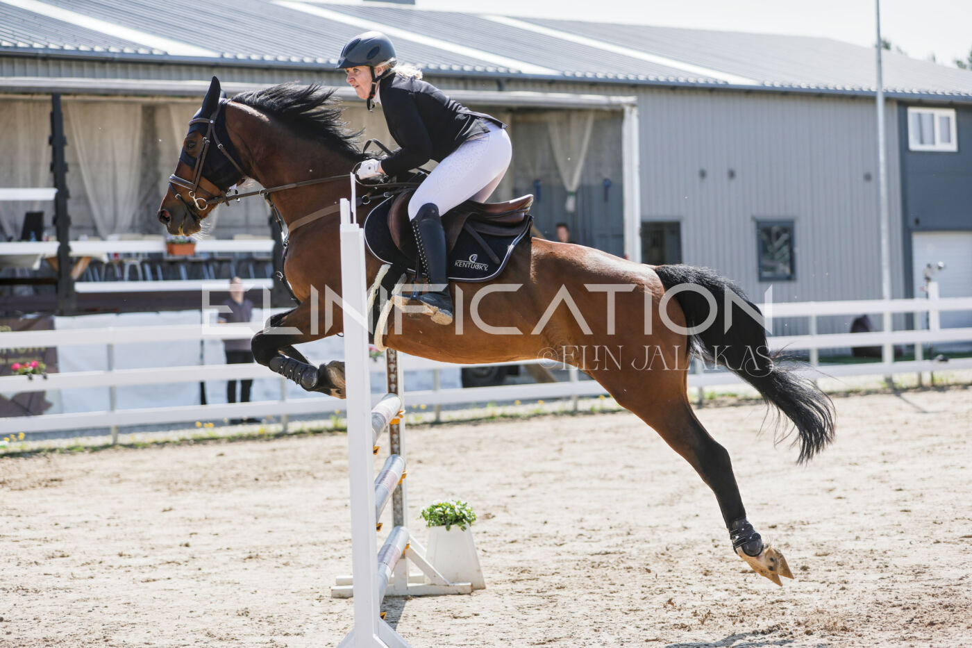 Gramina_Kevad_2026_100_200
