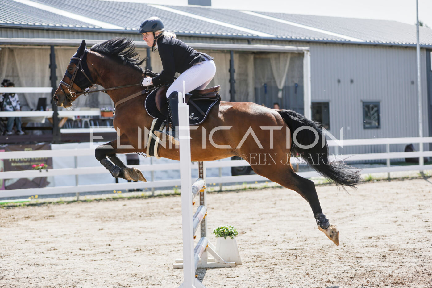 Gramina_Kevad_2026_100_201