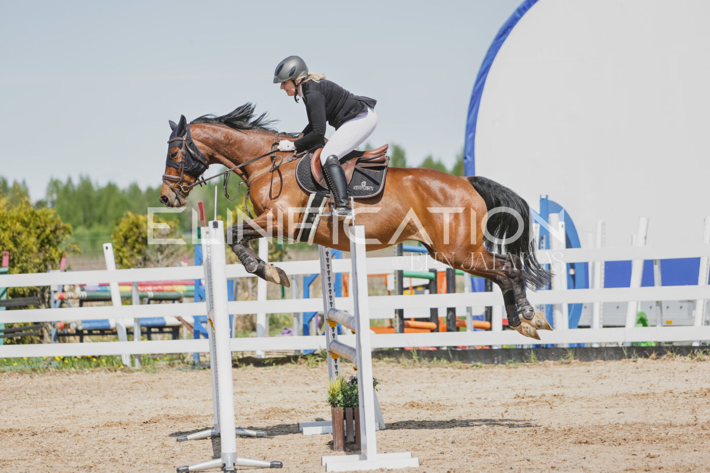 Gramina_Kevad_2026_100_202
