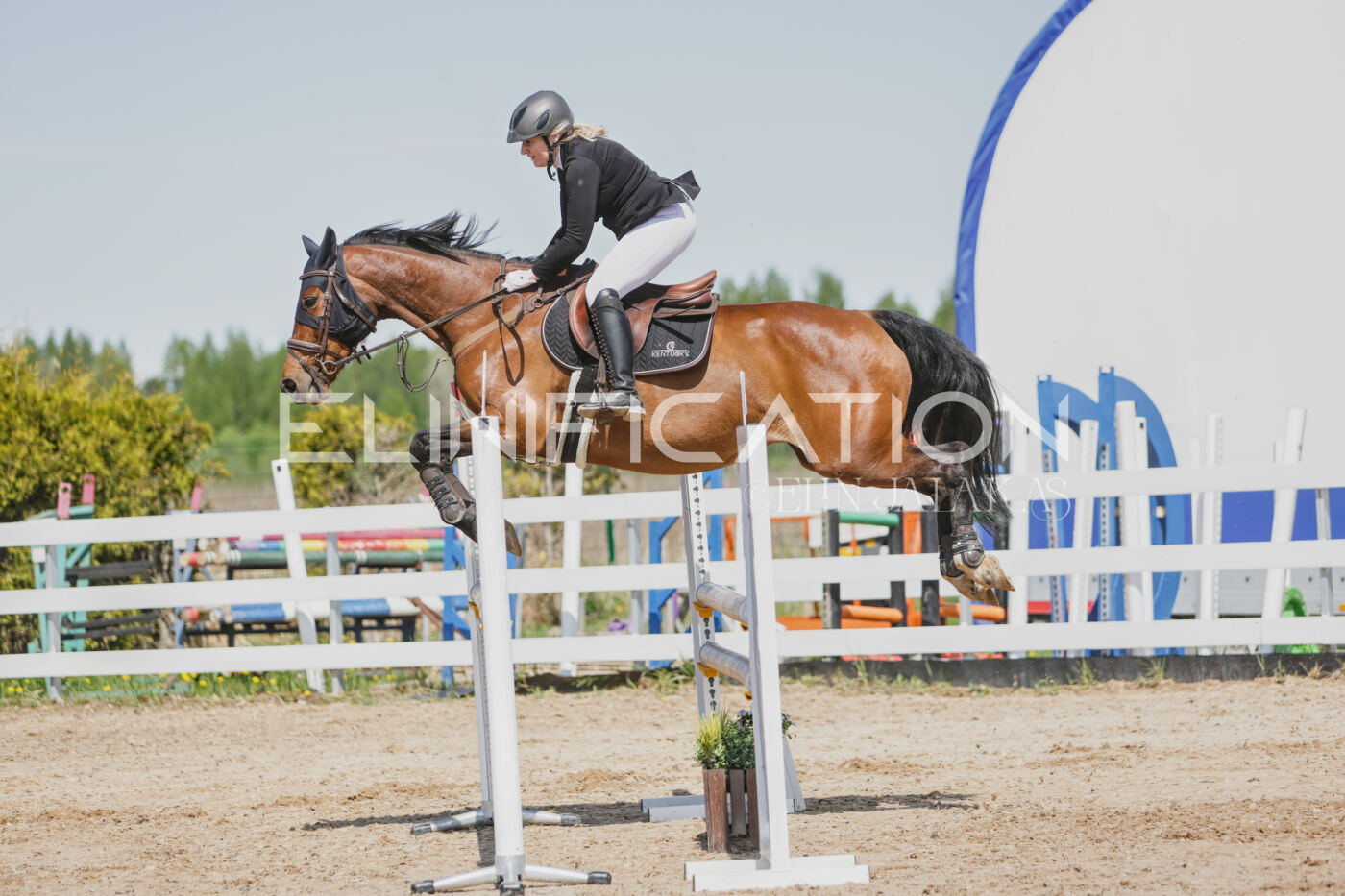 Gramina_Kevad_2026_100_203