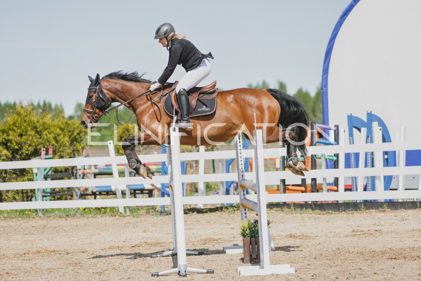 Gramina_Kevad_2026_100_204