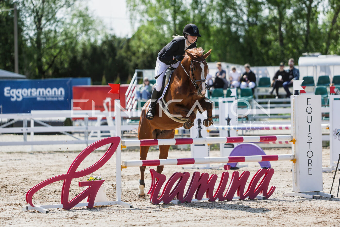 Gramina_Kevad_2026_100_205