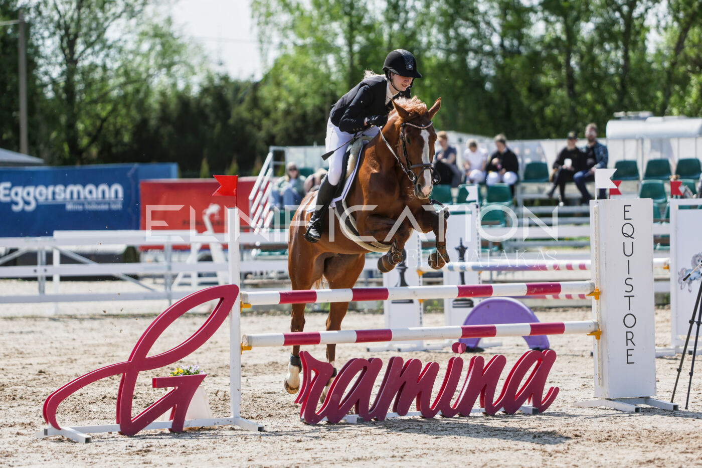 Gramina_Kevad_2026_100_206