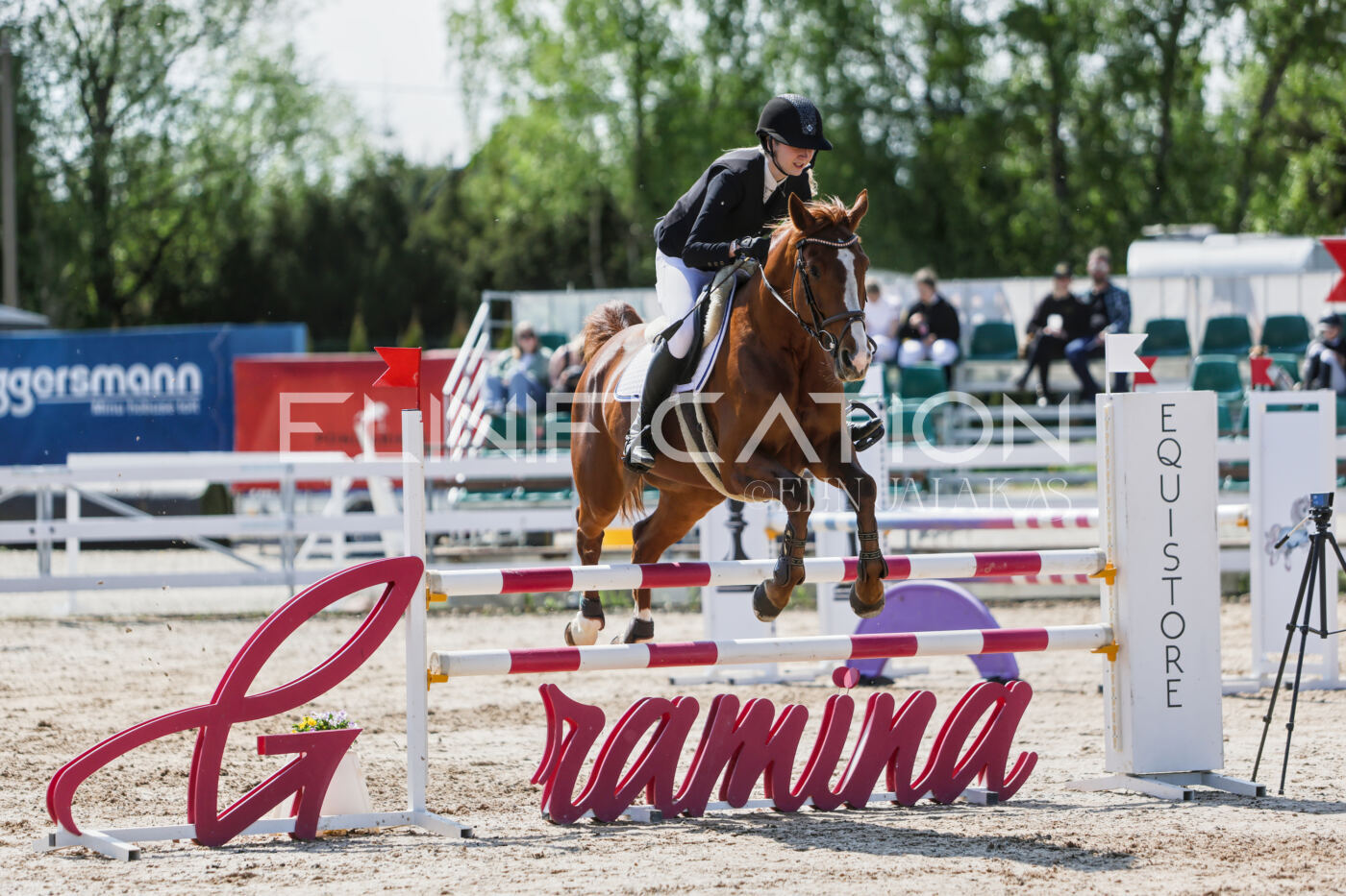 Gramina_Kevad_2026_100_208
