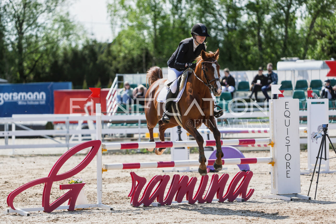 Gramina_Kevad_2026_100_209