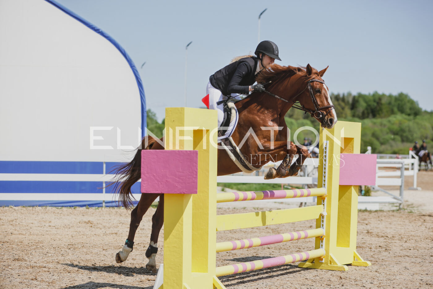 Gramina_Kevad_2026_100_210