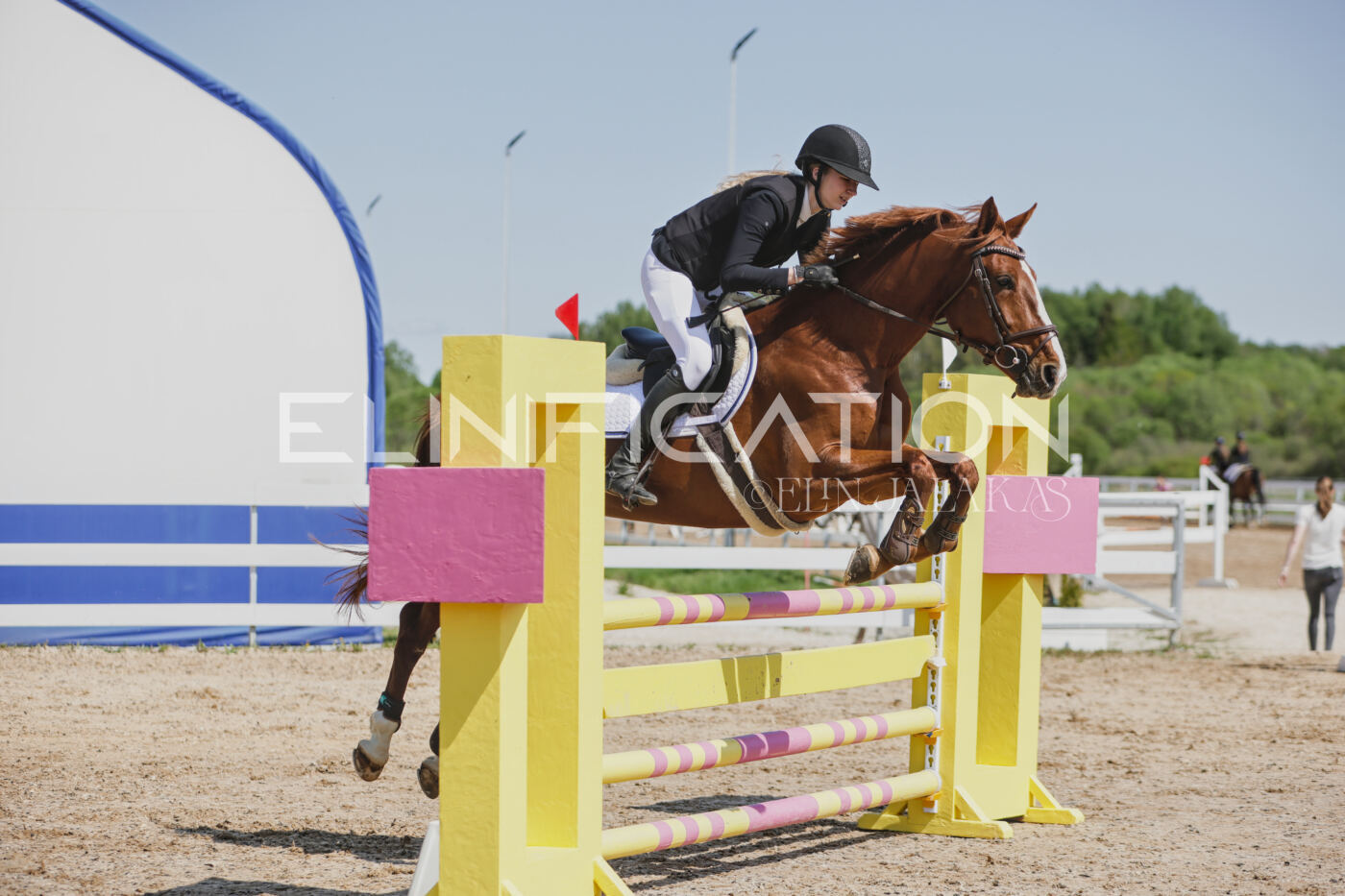 Gramina_Kevad_2026_100_211