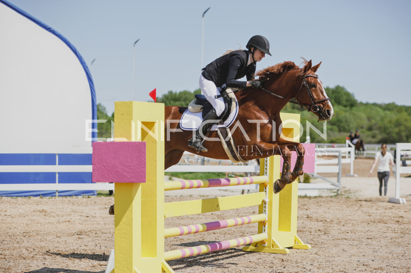 Gramina_Kevad_2026_100_212