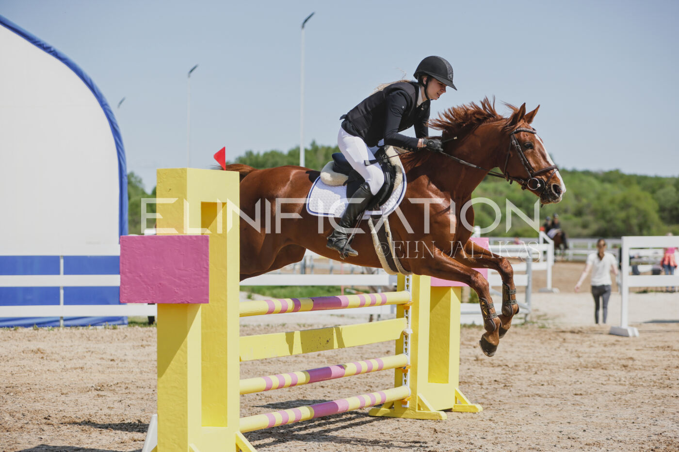 Gramina_Kevad_2026_100_213