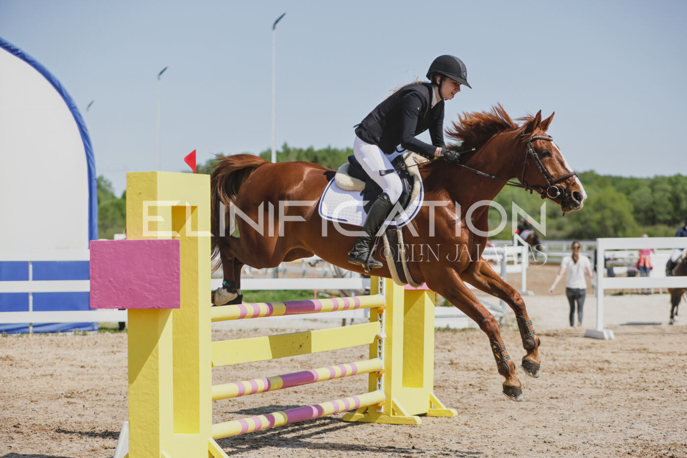 Gramina_Kevad_2026_100_214