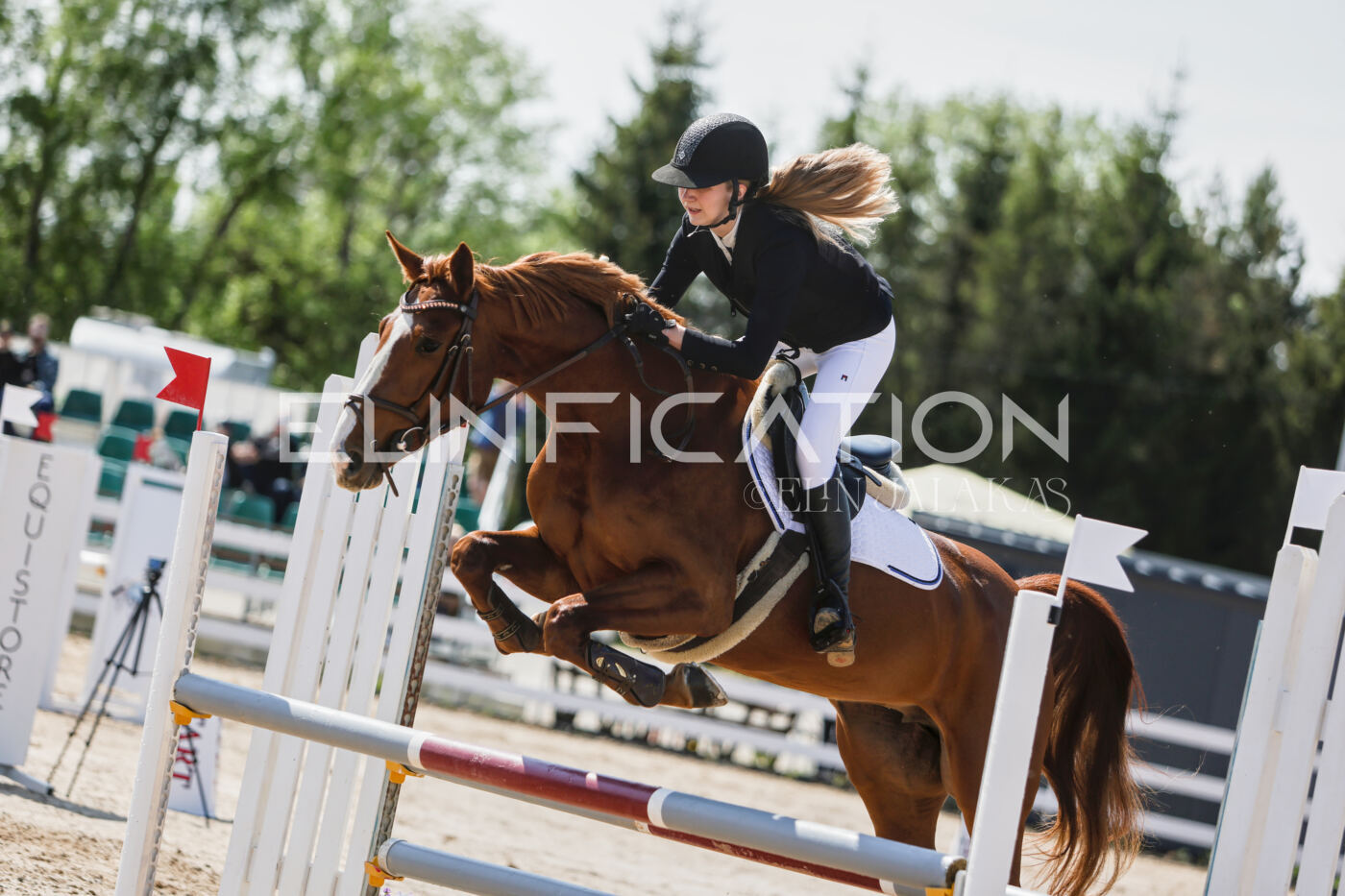 Gramina_Kevad_2026_100_215