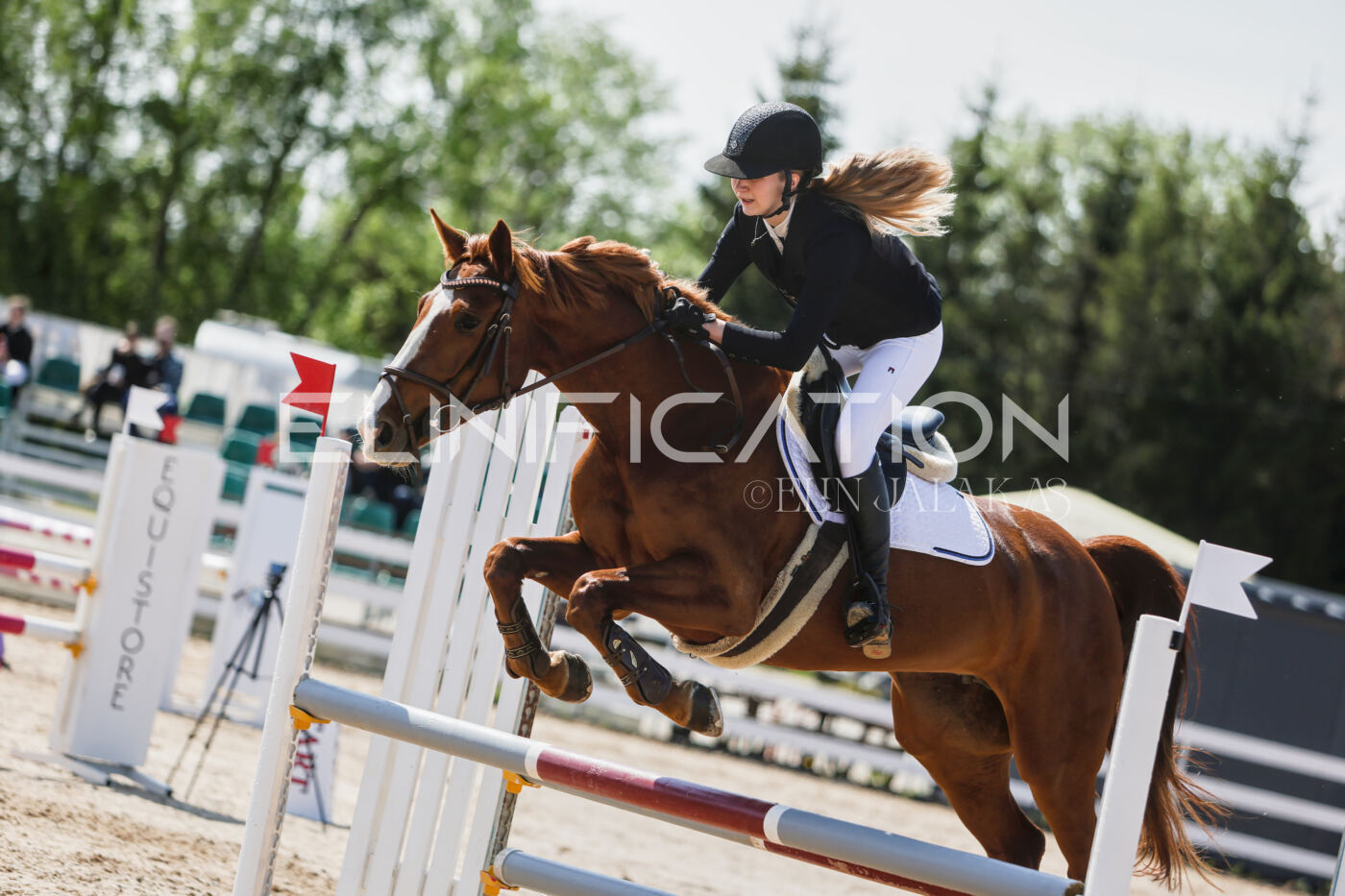 Gramina_Kevad_2026_100_216
