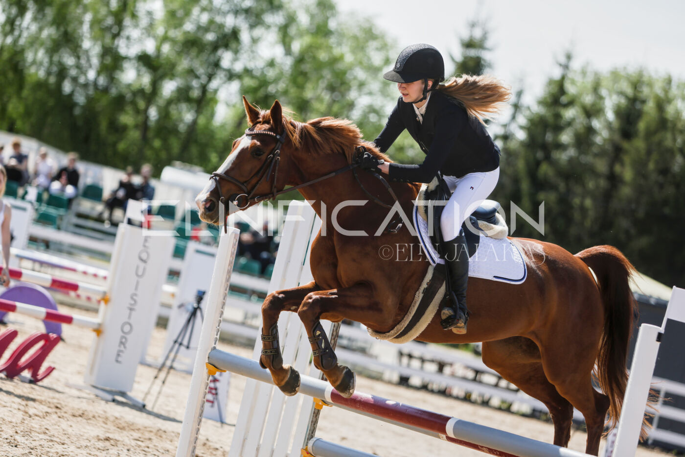 Gramina_Kevad_2026_100_217