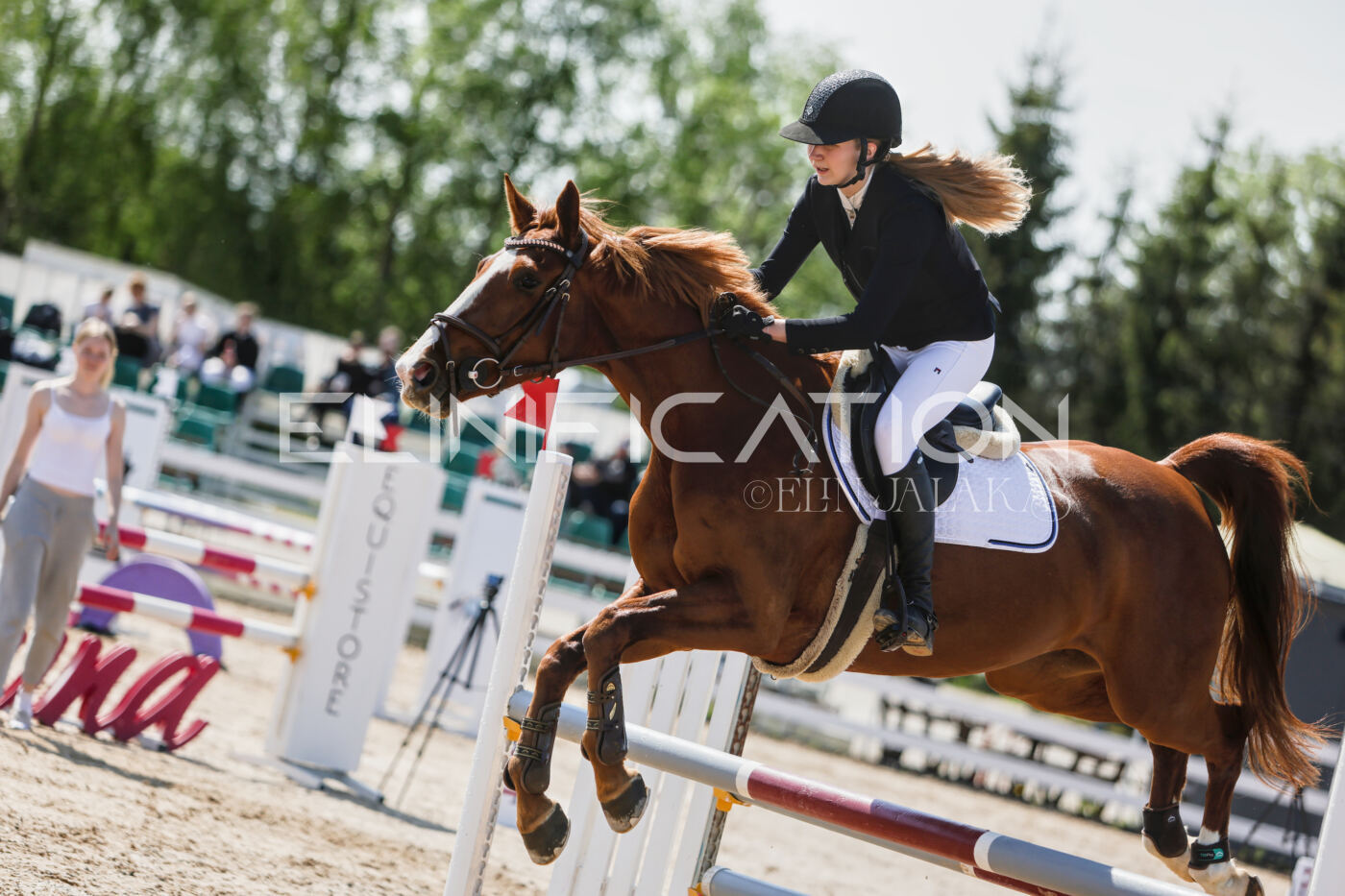 Gramina_Kevad_2026_100_218