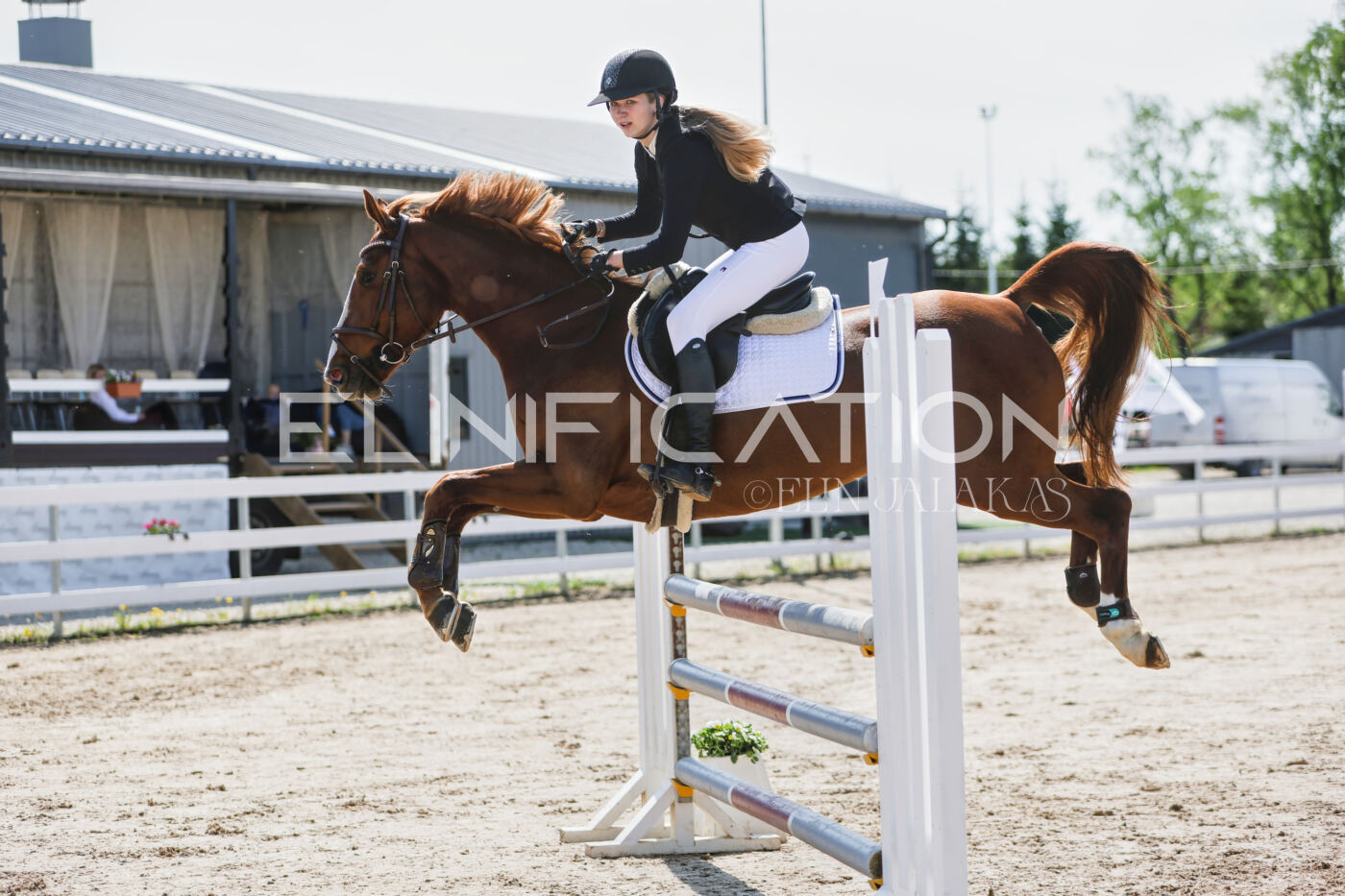 Gramina_Kevad_2026_100_222