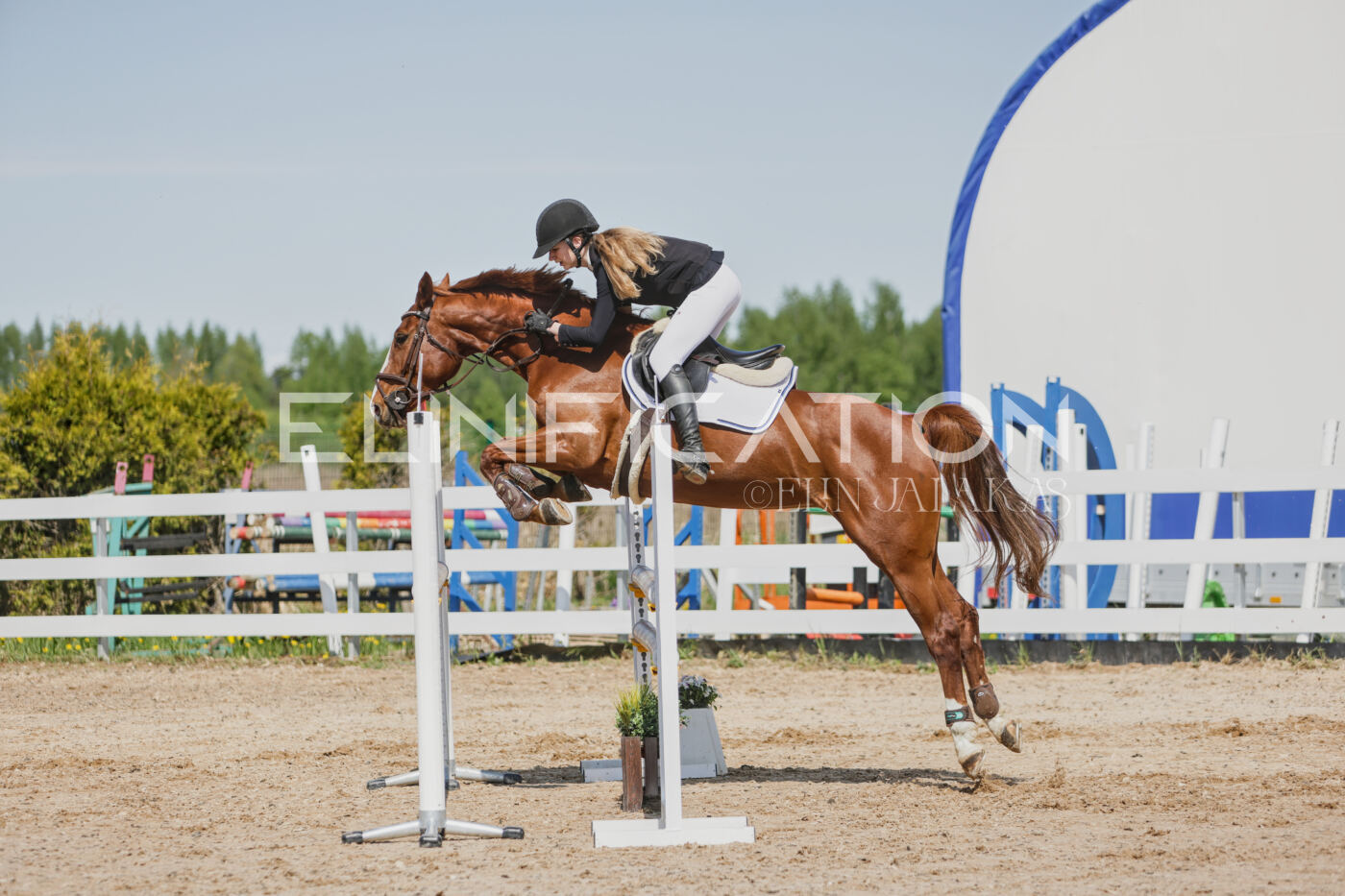 Gramina_Kevad_2026_100_224