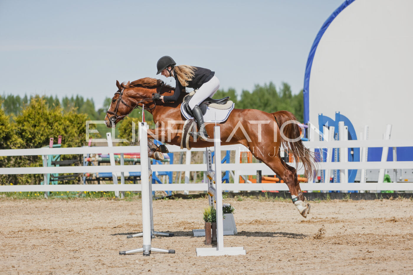 Gramina_Kevad_2026_100_225
