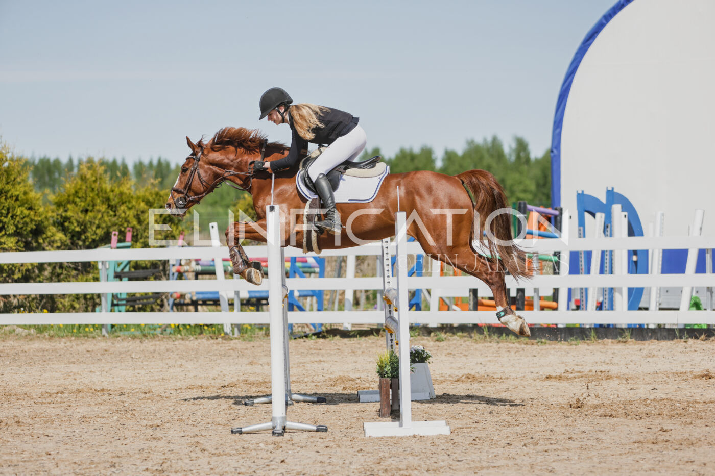 Gramina_Kevad_2026_100_226