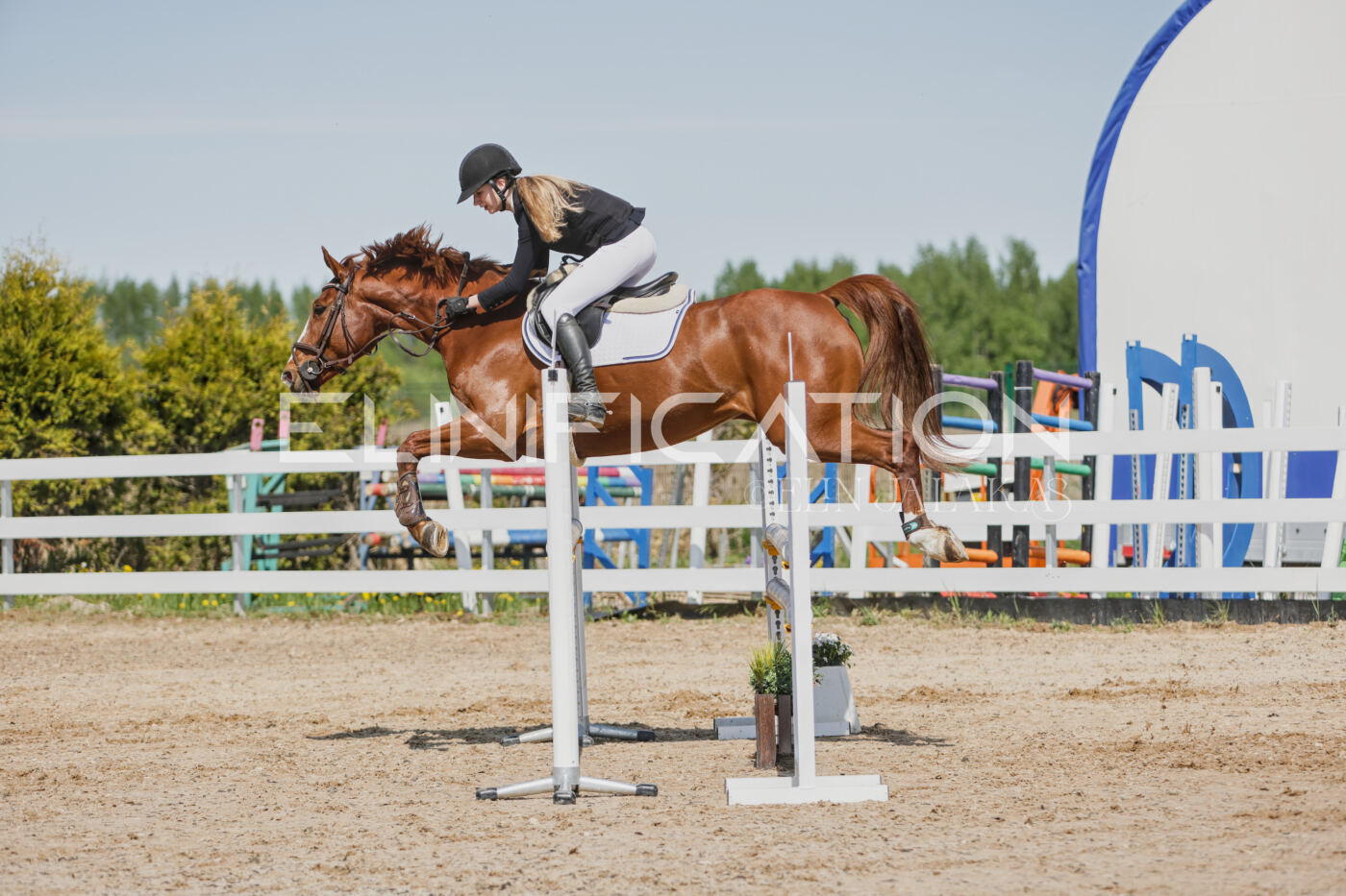 Gramina_Kevad_2026_100_227