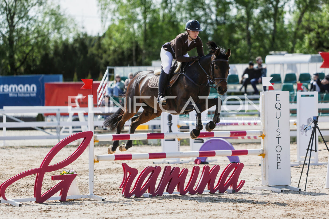 Gramina_Kevad_2026_100_231