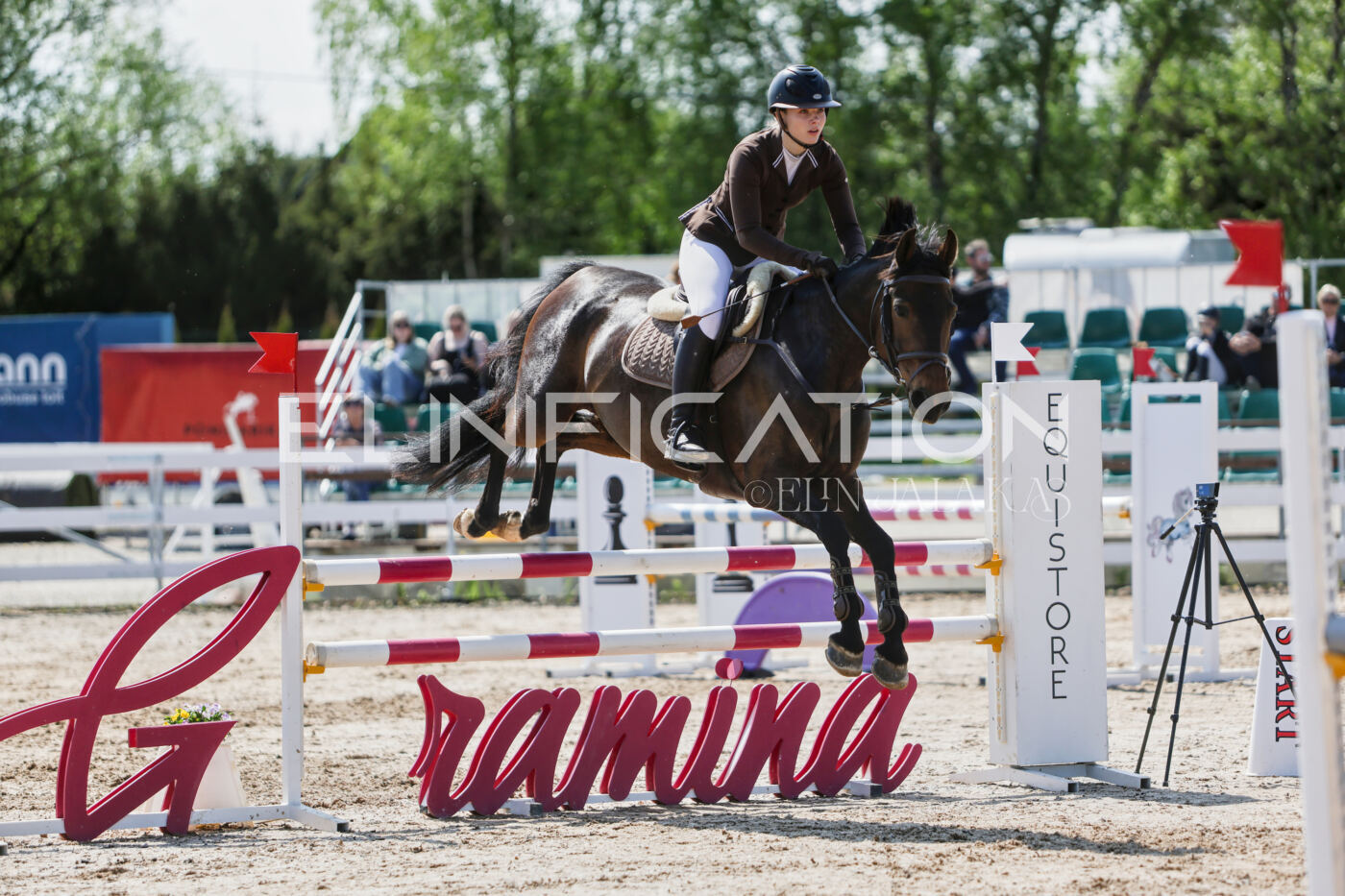 Gramina_Kevad_2026_100_233