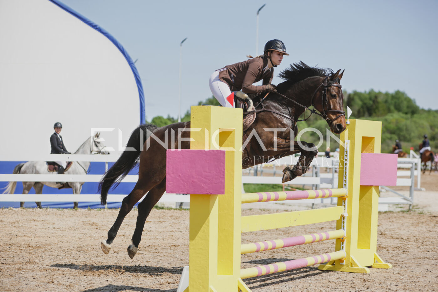 Gramina_Kevad_2026_100_234
