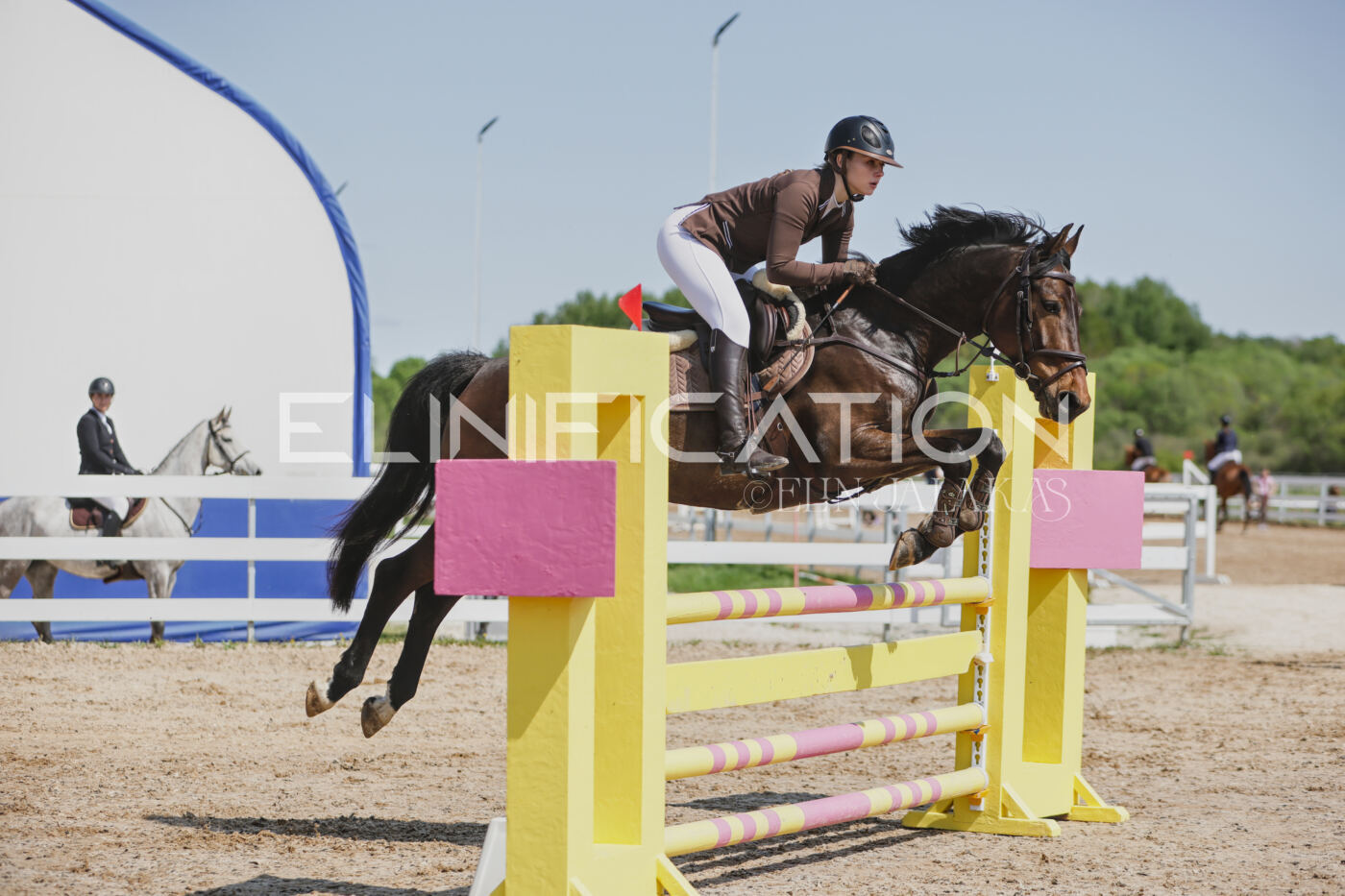 Gramina_Kevad_2026_100_235