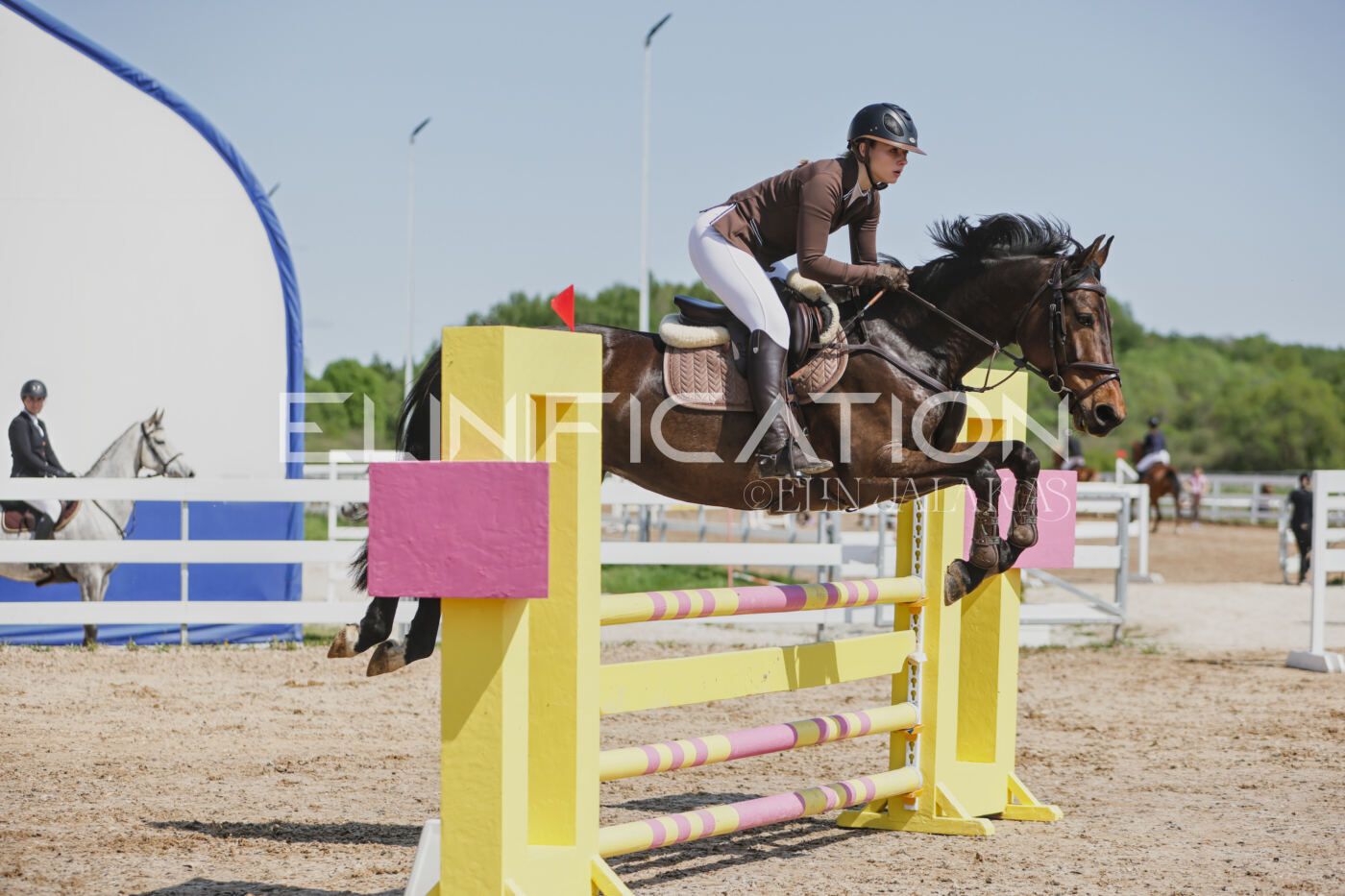 Gramina_Kevad_2026_100_236