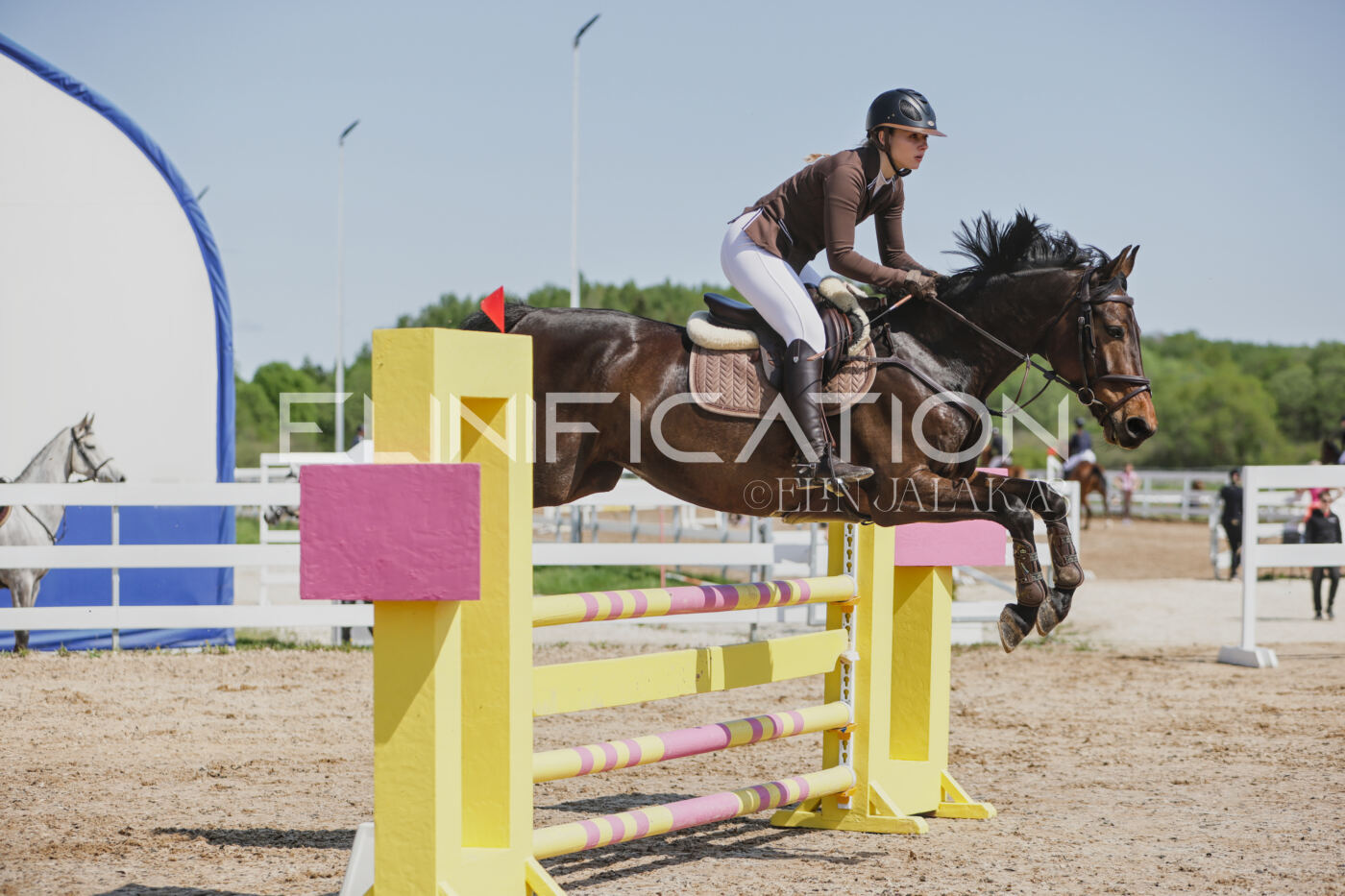 Gramina_Kevad_2026_100_237