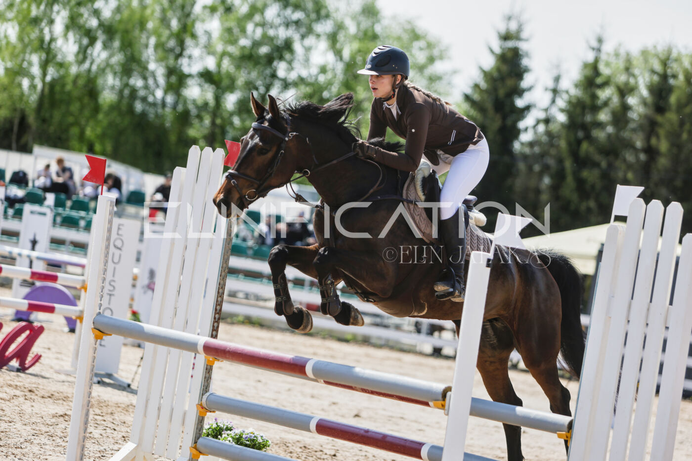 Gramina_Kevad_2026_100_238