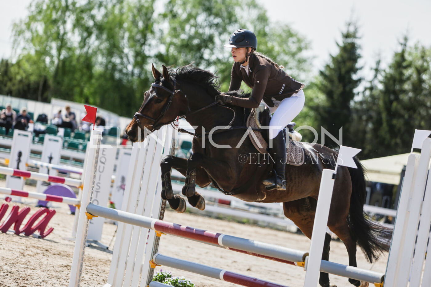 Gramina_Kevad_2026_100_239