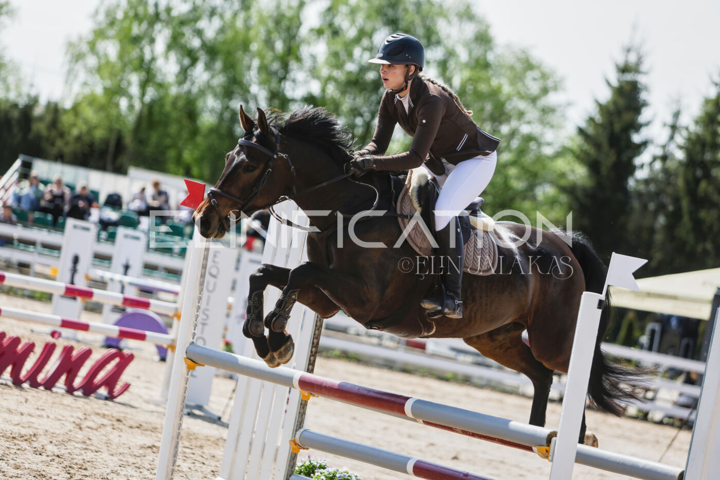 Gramina_Kevad_2026_100_240